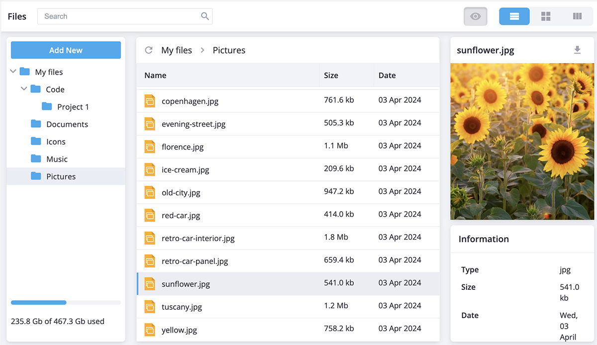 Svelte File Manager - File preview